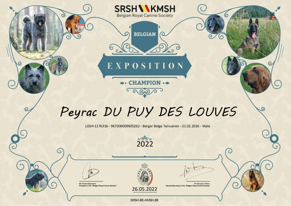 Du Puy Des Louves - Peyrac Champion de Belgique d'Exposition 2022